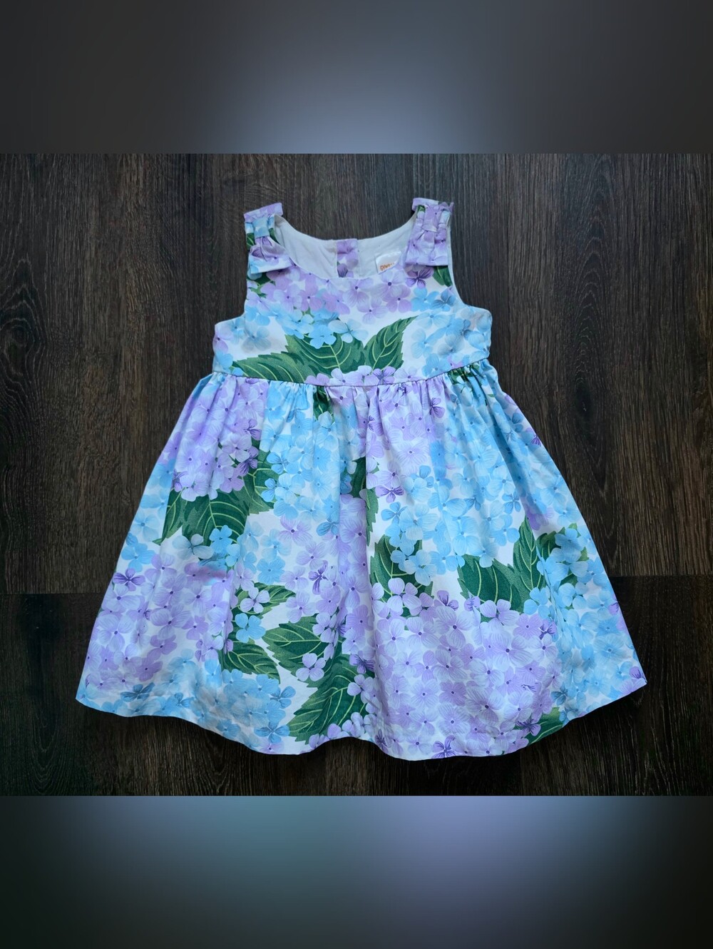 Gymboree "Spring Blooms" hydrangea dress